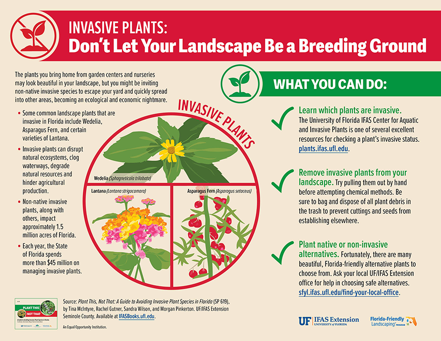 Invasive Plants