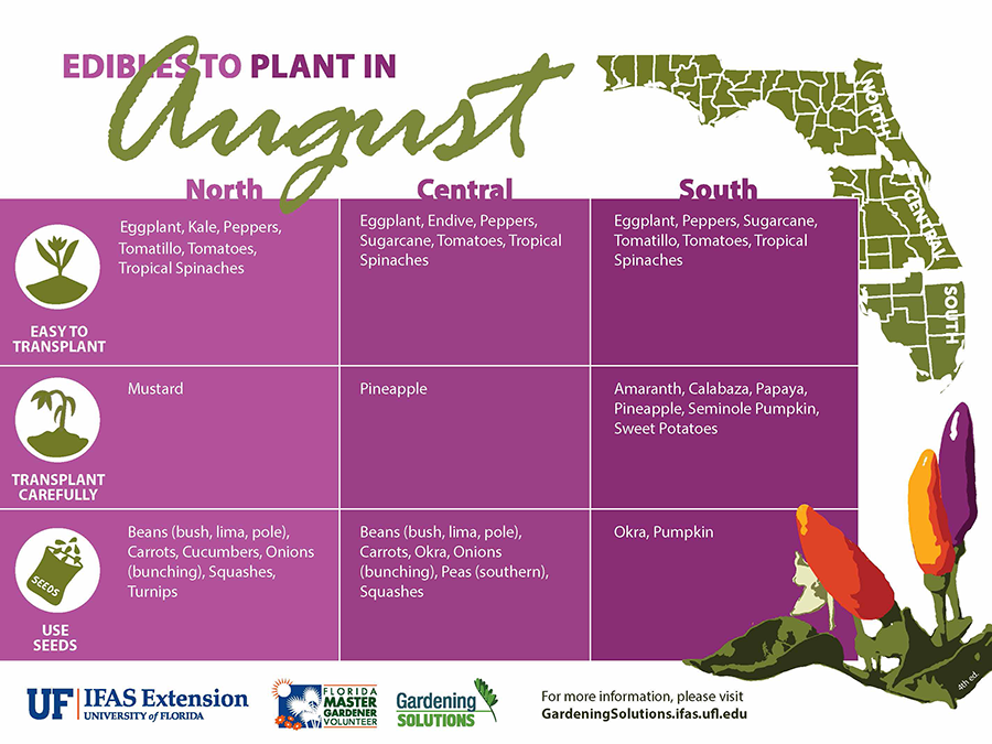 What to Plant in August