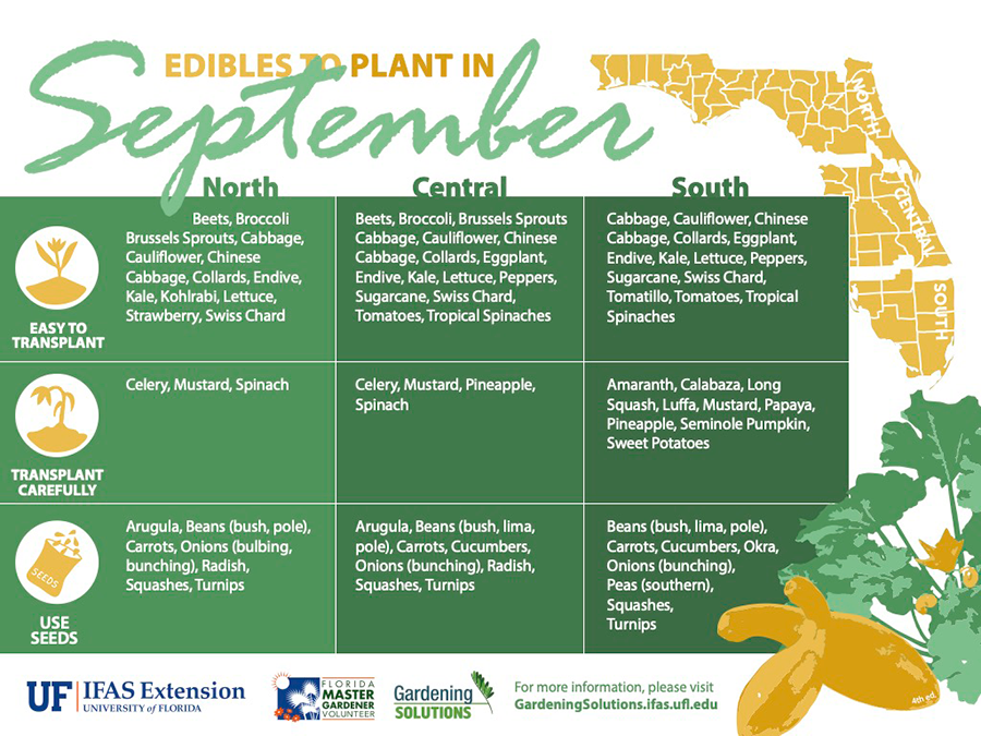 List of Florida-Friendly vegetables to plant in September, updated August 19, 2024.