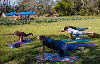 People doing yoga in front of a large vegetable garden