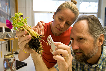 Two researchers examine the roots of a flowering plant in a lab setting.