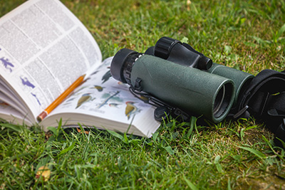 A pair of binoculars laying on an open birding book on the grass.