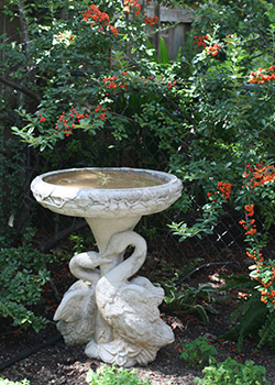 A concrete birdbath with a sculpted base featuring two swans.