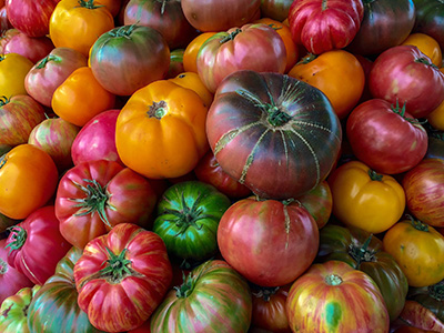 A pile of colorful heirloom tomatoes. Photo by the amazing Lance Cheung, USDA