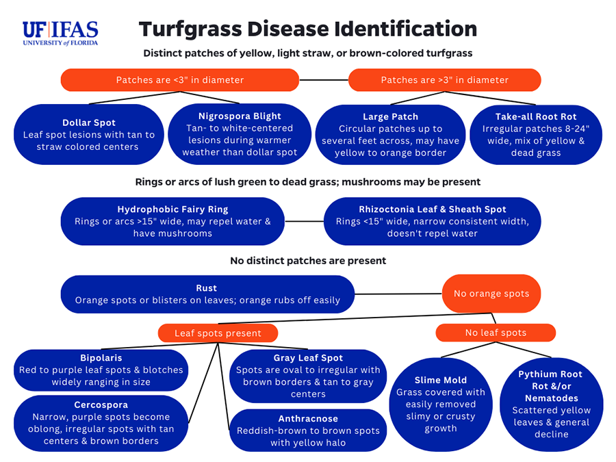 An illustrated flow chart to aid homeowners in matching lawn problem symptoms to which fungus might be causing it