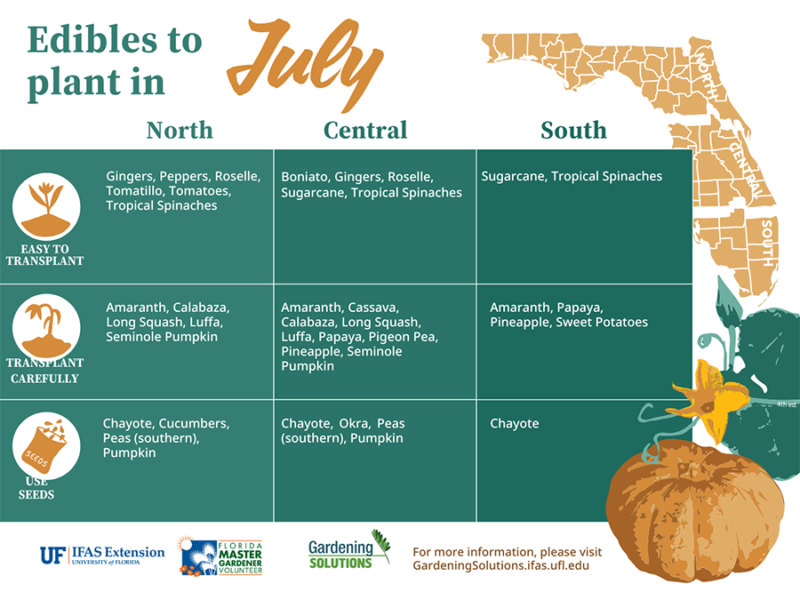 Illustration of a list of Florida-Friendly fruits and vegetables to plant in July. 