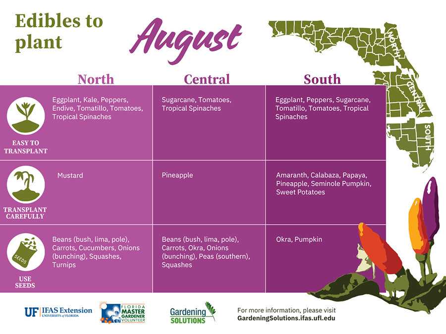 What to Plant in August