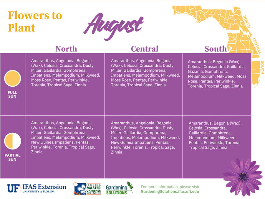 List of Florida-Friendly flowers to plant in sun or partial sun in August, revised to correct fonts