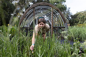 Young woman applying fertilizer by spoon to plants in a nursery.