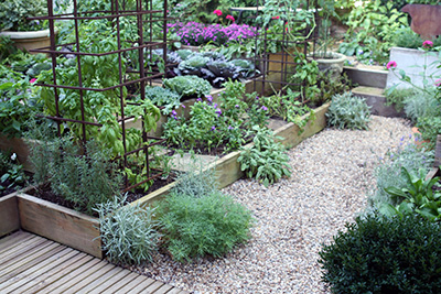 A small but beautiful kitchen garden full of raised beds, containers, and trellises.