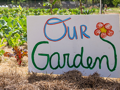 A hand-painted sign reading Our Garden with a flower