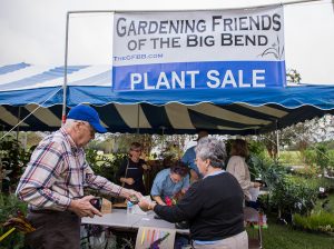 People at a plant sale.