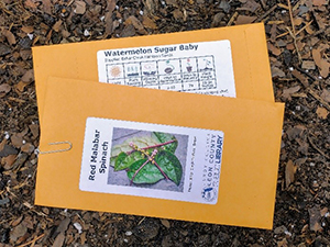 Two manilla-style seed packets on the ground.