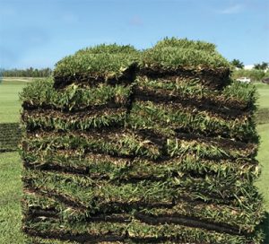Pile of sod squares.
