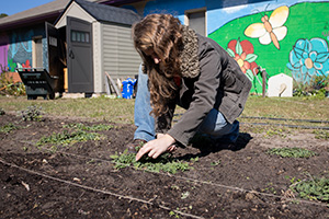 A girl kneels to tend to new plants in a garden bed laid out with string for spacing.