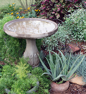 Water in birdbaths should be freshened often