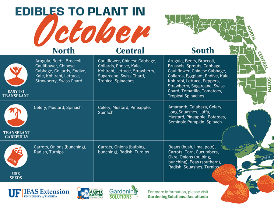 What to Plant in October