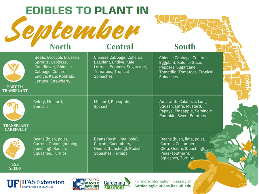 What to Plant in September