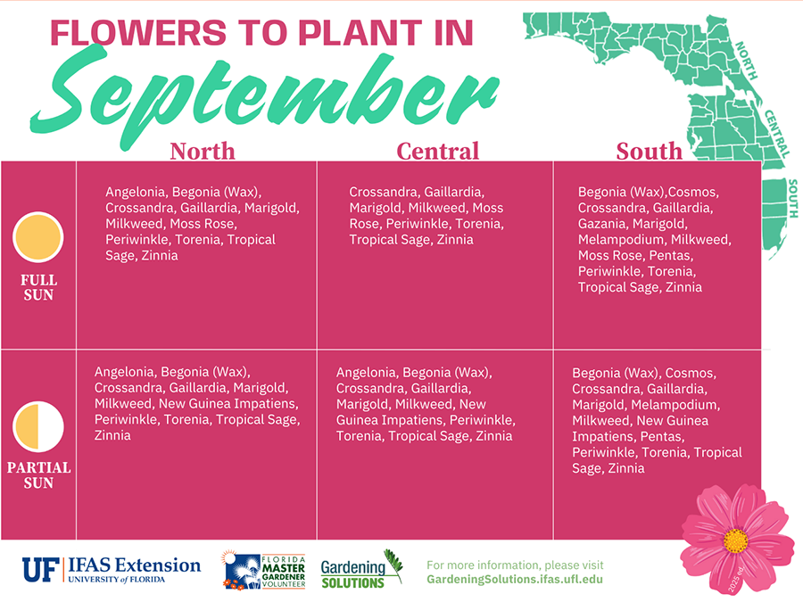 Flowers for September