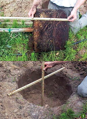 Measuring the root ball of a tree to be planted and then measuring the hole it goes into.