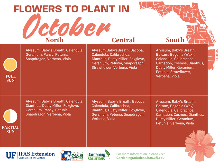 List of Florida-Friendly flowers to plant in October.