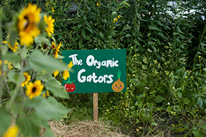 Hand painted sign in garden reading The Organic Gators