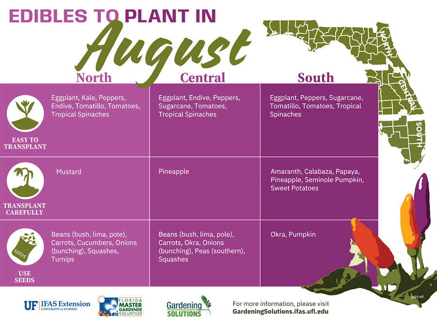 List of Florida-Friendly fruits and vegetables to plant in August. Latest revision adds back missing vegetables.