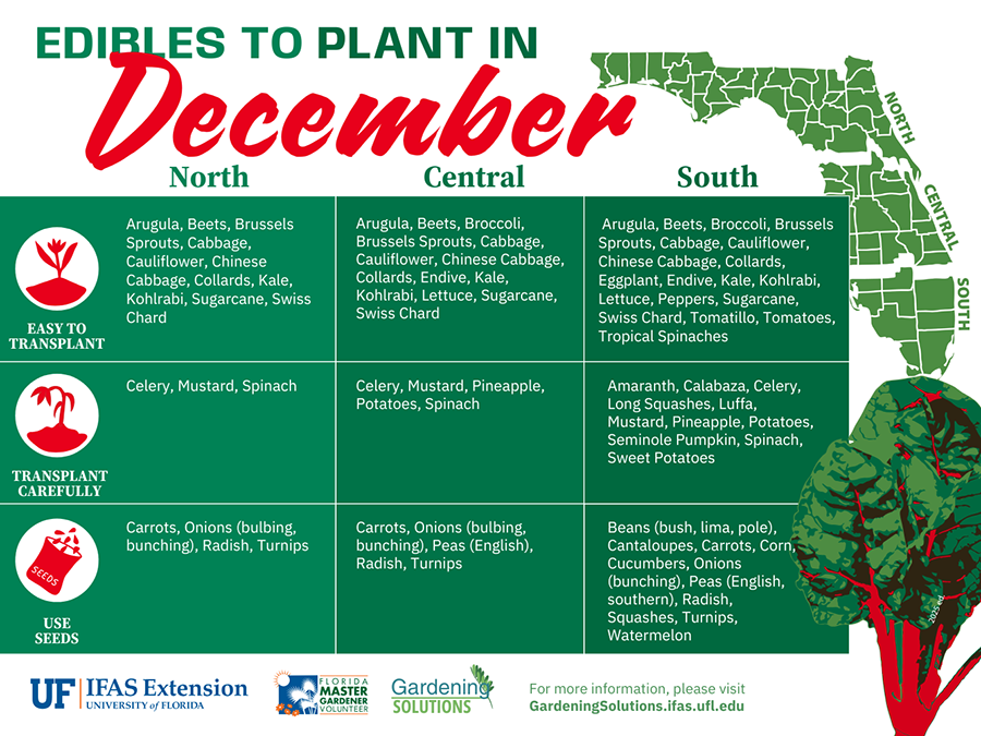 A list of Florida-Friendly fruits and vegetables to plant in December