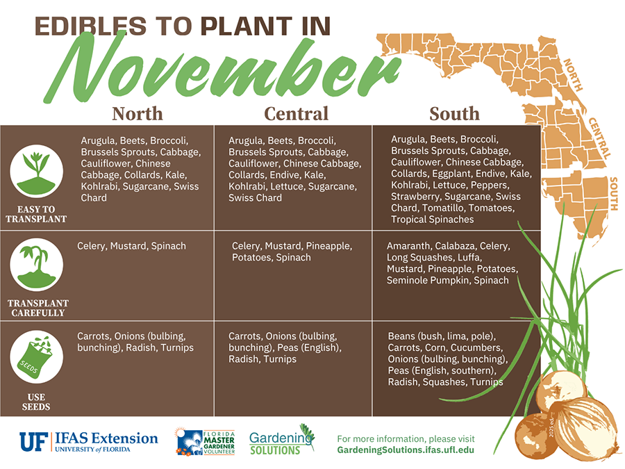 List of Florida-Friendly fruits and vegetables to plant in December, revised to add back missing bulbing onions
