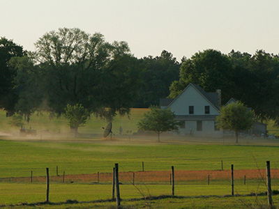 A farm with oaks around the house