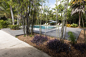 A thin rectangle of planting space between a pool and a walkway is nicely mulched and has foliage plants.