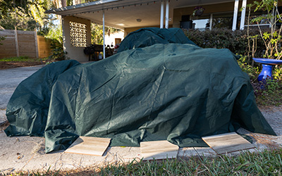 Plants properly covered for cold protection