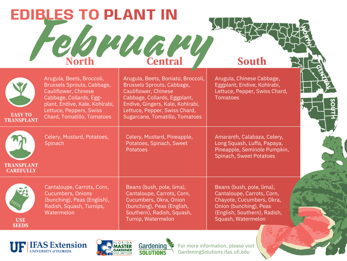 Fruits and Vegetables to Plant in February