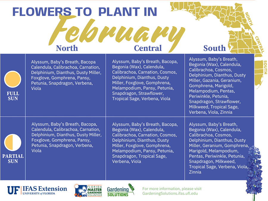 Flowers for February